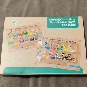 Montessori Magnetic Color & Counting Maze